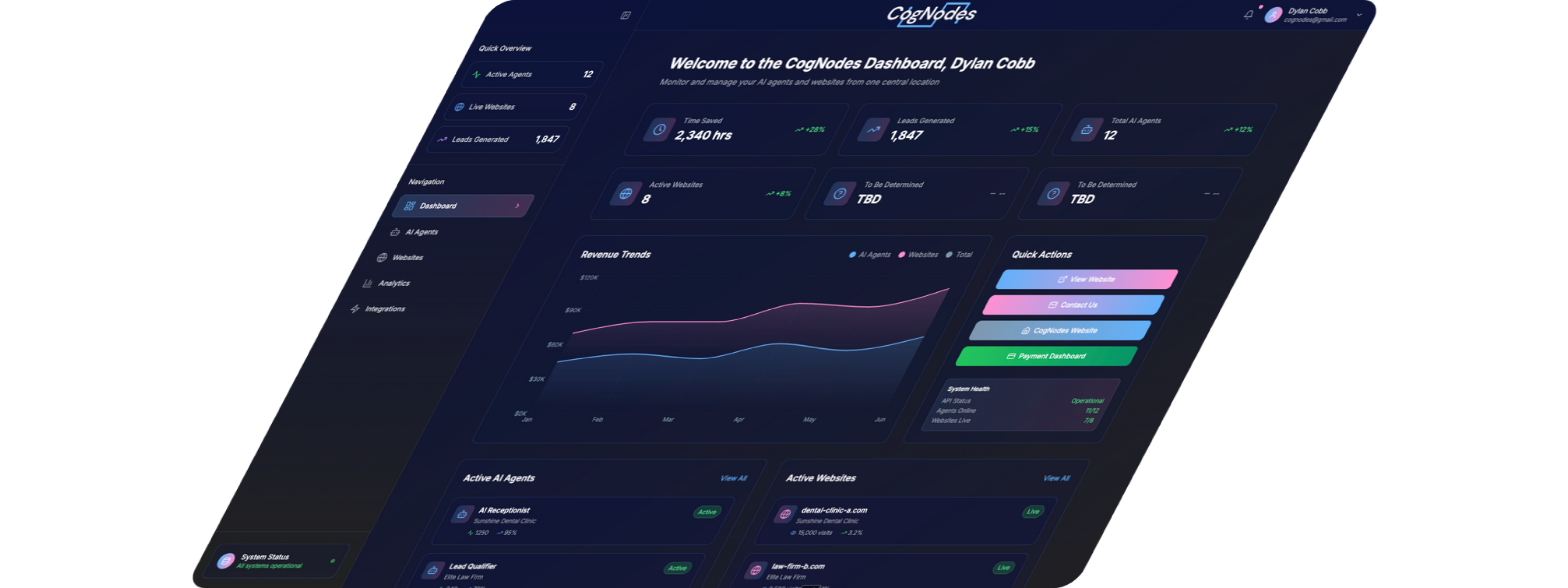 CogNodes Dashboard Graphics